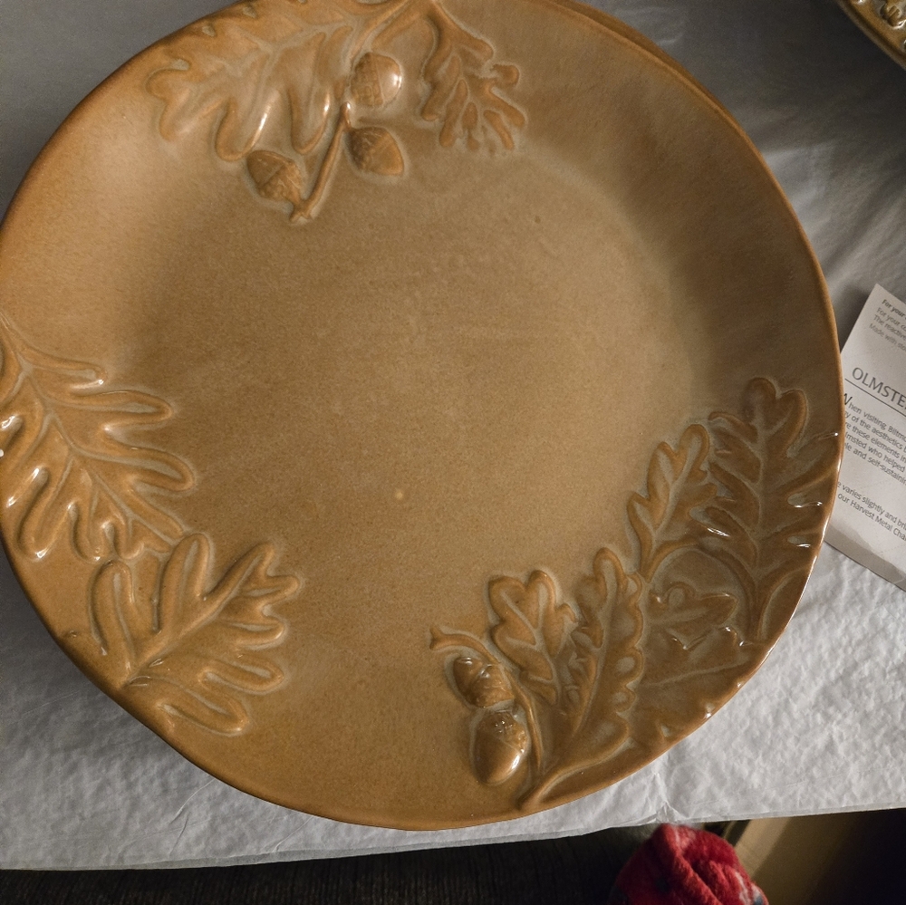 Dinner plates